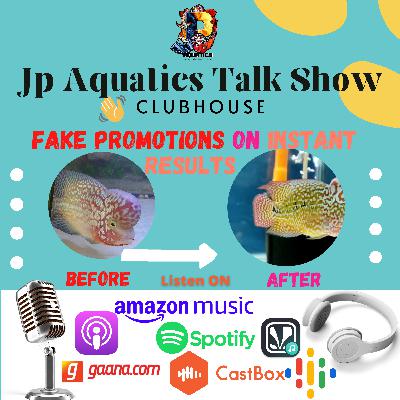 Flowerhorn | Fake Promotion On Instant Results | Clubhouse Flowerhorn | Fake Promotion On Instant Results | Clubhouse