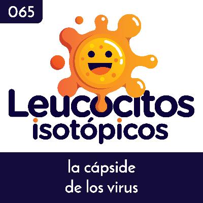 La cápside de los virus