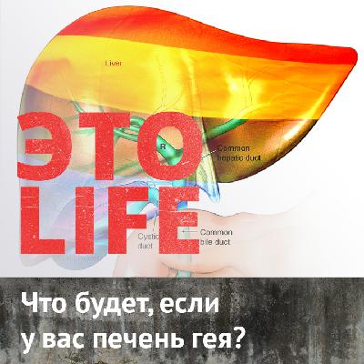 Что будет, если у вас печень гея?
