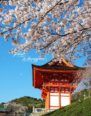 日本京都.清水寺