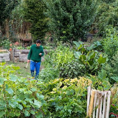 Episode 46, Xavier Mathias, auteur et paysan, spécialiste de la permaculture et du jardinage durable Episode 46, Xavier Mathias, auteur et paysan, spécialiste de la permaculture et du jardinage durable