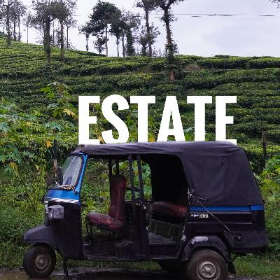 S2E14: Estate