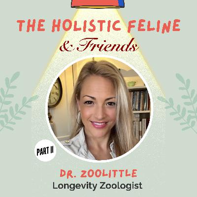 DR. ZOOLITTLE, Part II