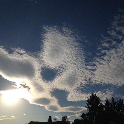 The Mallinick Hour 20 Jan 21