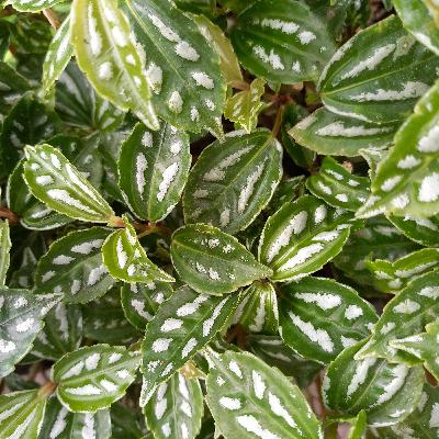 Belum ada judul Belum ada judul