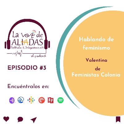 Episodio #3: Hablando de feminismo con Valentina de Feministas Colonia