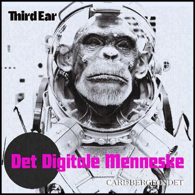 Det Digitale Menneske: Spiral of expectations