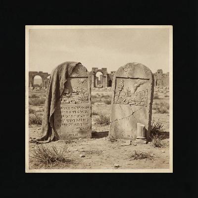 Carthage Rise Fall and Roman Wars