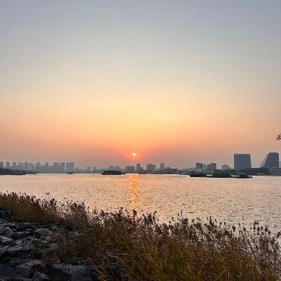 AI与夕阳：一位科学家的迁徙与答案