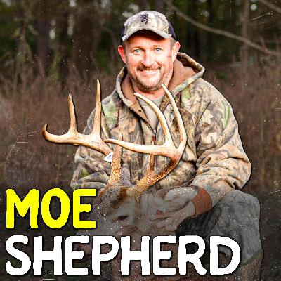 726 - How to Hunt Rub Lines for Consistent Buck Encounters with Moe Shepherd