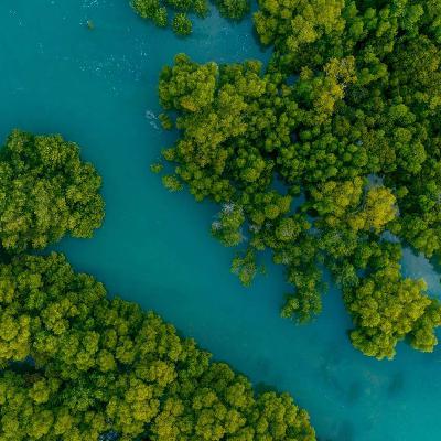 Episode 10 – Ian Hendy on Human Interactions, Environmental Variation and Climate Change, Responsible for Altering Biodiversity, Biomass and Productivity to Marine Ecosystems Episode 10 – Ian Hendy on Human Interactions, Environmental Variation and Climate Change, Responsible for Altering Biodiversity, Biomass and Productivity to Marine Ecosystems