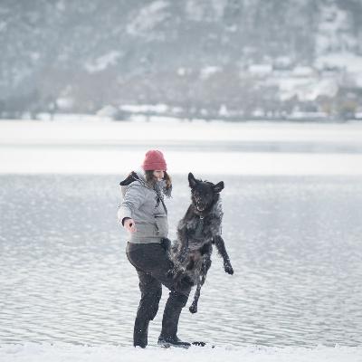 Balance des energues