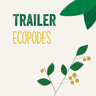 T1 - Trailer T1 - Trailer