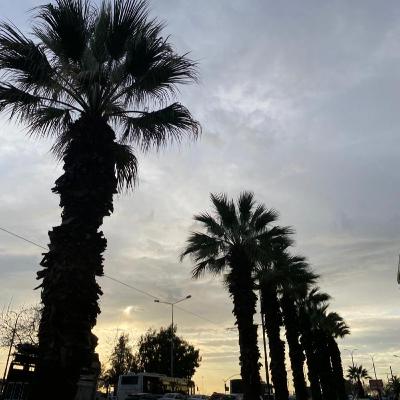 İlk Adımı Atmak İçin Neyi Bekliyorsun?