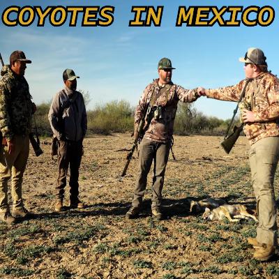 Calling Coyotes in Mexico | Geoff Nemnich Calling Coyotes in Mexico | Geoff Nemnich