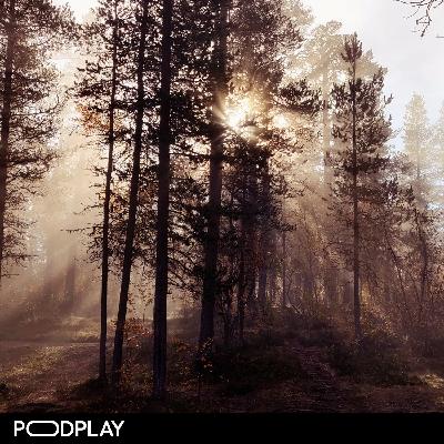 14. Yhteenveto ja jälkifiilistelyt