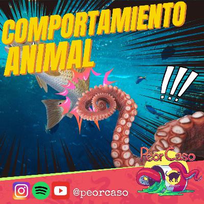 204 - Extremos Comportamientos de Animales
