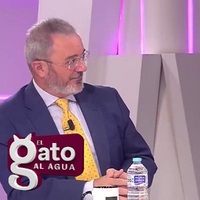 El Gato al Agua | 23/10/25