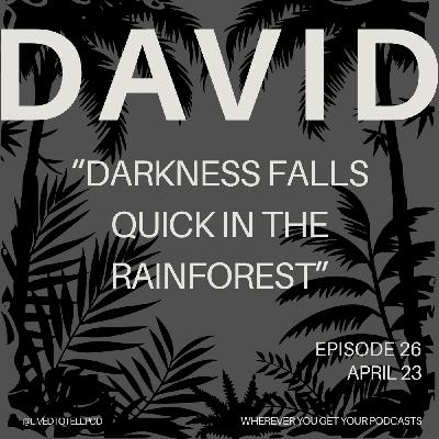 S1 Ep26: David Part One - "Darkness Falls Quick in the Rainforest”