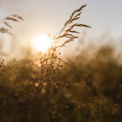 Meditación de 9 minutos para comenzar el día con tranquilidad y balance interior