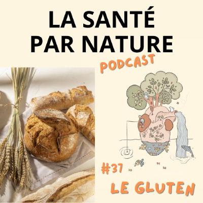 #37 - Le gluten : que disent les expert.e.s ?