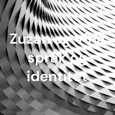 Historie middelalderen