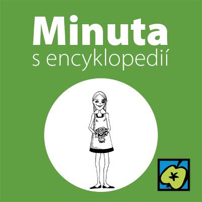 Svatební zvyky