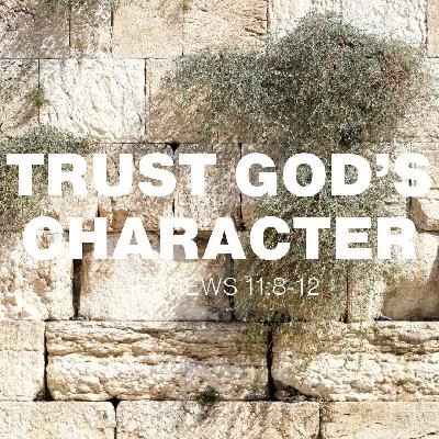 Daily Devotionals – Hebrews 11:8–12