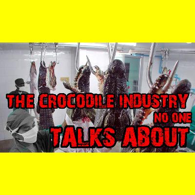 Why There’s No Global Backlash Against Crocodile Farming in China | Cluster Fudge Podcast