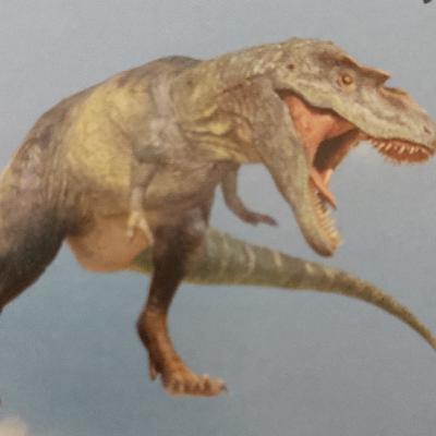 Tyrannosaurus