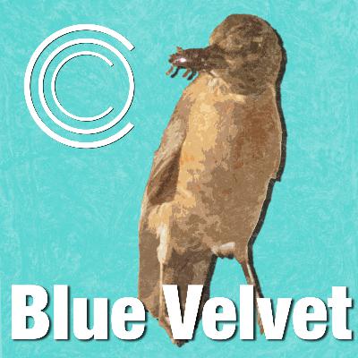 BLUE VELVET (1986) — Get Behind Me, Oedipus!