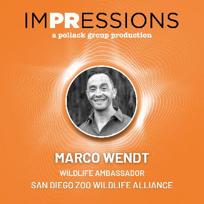 San Diego Zoo: How to Market Wildlife Conservation with Marco Wendt | Season 3 Episode 4
