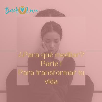 ¿PARA QUÉ MEDITAR? PARTE 1 - PARA TRANSFORMAR TU VIDA