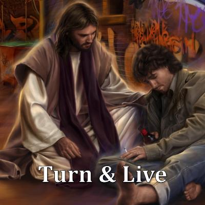 Turn & Live