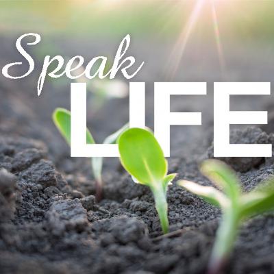 Taking control over your life