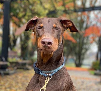 #50 - Psych #50 - Psych