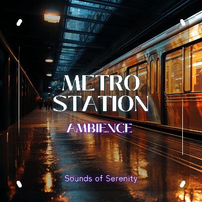 METRO STATION AMBIENCE METRO STATION AMBIENCE