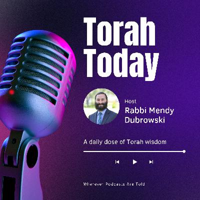 Toldos: Sunday, November 24, 2024