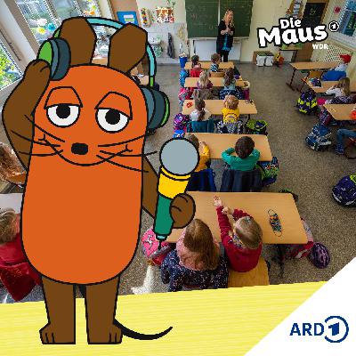 Viel los in den Schulen - in den nächsten Jahren mehr Schüler