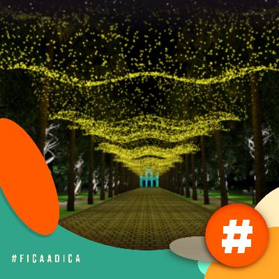 Fica a Dica - Que tal visitar o Natal da Praça da Liberdade antes da ceia?