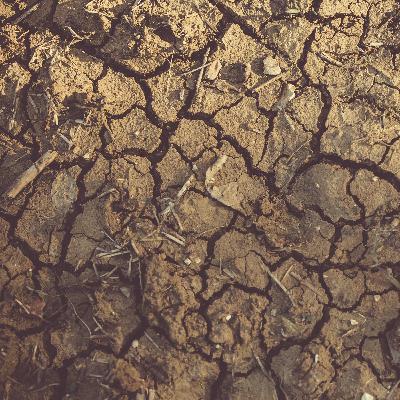 sometimes it goes the other way too’