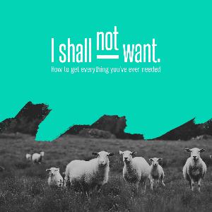 I Shall Not Want by Ryan Leak