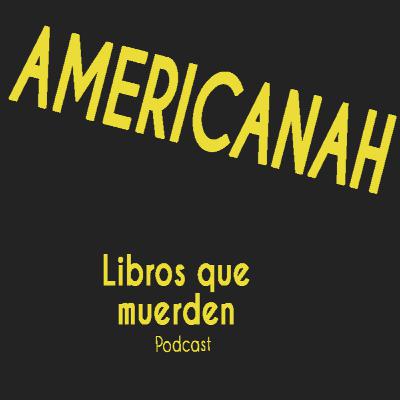 e5: Americanah - Chimamanda Ngozi Adichie e5: Americanah - Chimamanda Ngozi Adichie