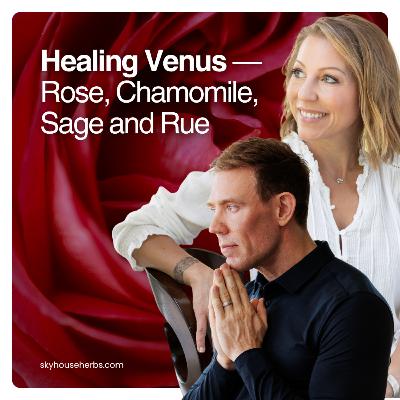 Healing Venus | Rose, Chamomile, Sage and Rue — Ashley Elenbaas