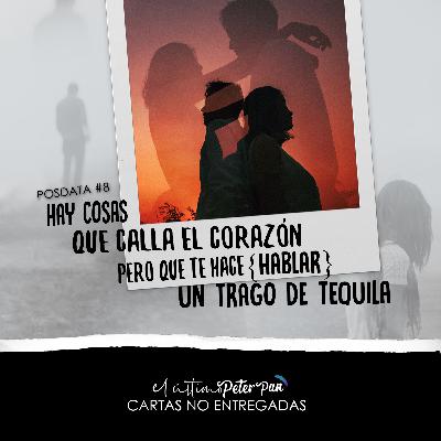#8 Carta no entregada para un reencuentro