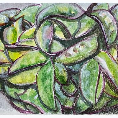 画食光--扁豆 by Fanwen