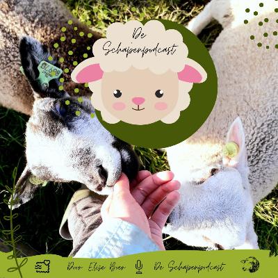 #1 Het Begin van het Schapenverhaal...🐑🌼🌍