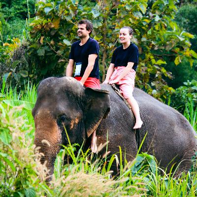 23. Thaïlande - Chiang Mai - Éléphants, cascades et montagne