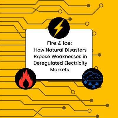 Fire & Ice: How Natural Disasters Expose Weaknesses in Deregulated Electricity Markets