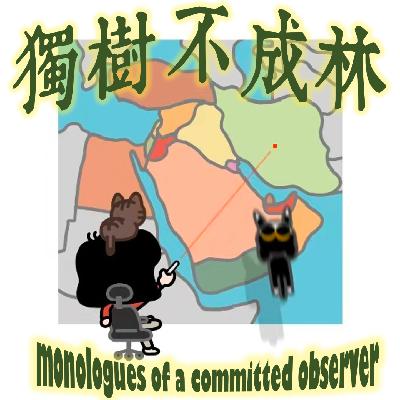 314-伊斯兰世界在过去百年面对强大的西方做出了怎样的反思